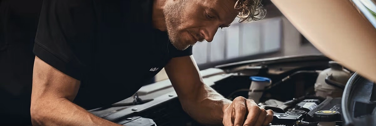 Servizio pre-revisione